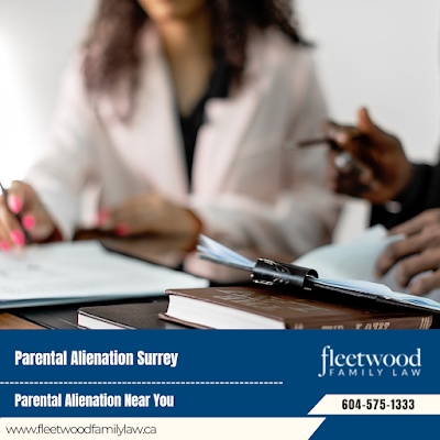 Business Asset Division Surrey Co-Parenting Agreements
