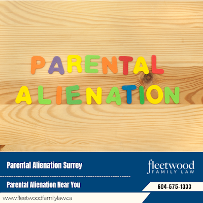 Foster Care Legal Services Surrey Co-Parenting Agreements