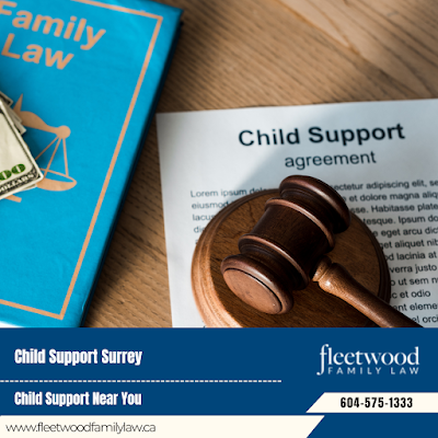 Alimony Lawyer Legal Separation Agreements Surrey