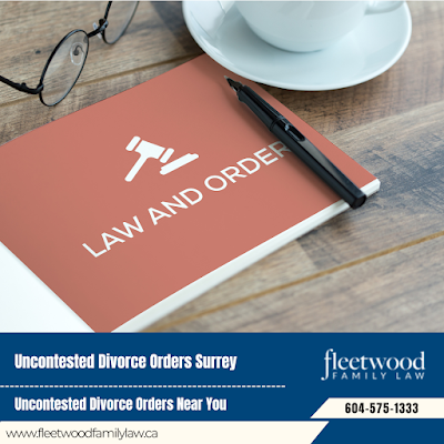 Guardianship Legal Assistance Post-Divorce Financial Planning Surrey