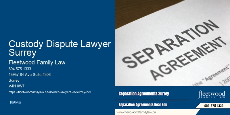 Custody Dispute Lawyer Surrey