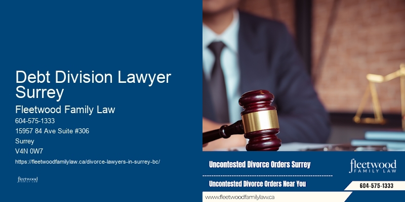 Debt Division Lawyer Surrey
