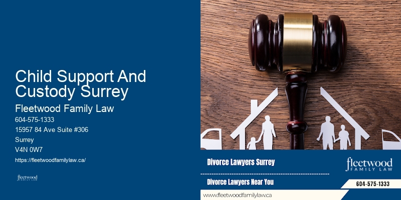 Child Support And Custody Surrey