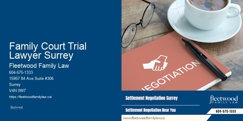 Family Court Trial Lawyer Surrey