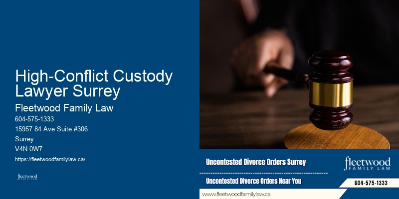 High-Conflict Custody Lawyer Surrey