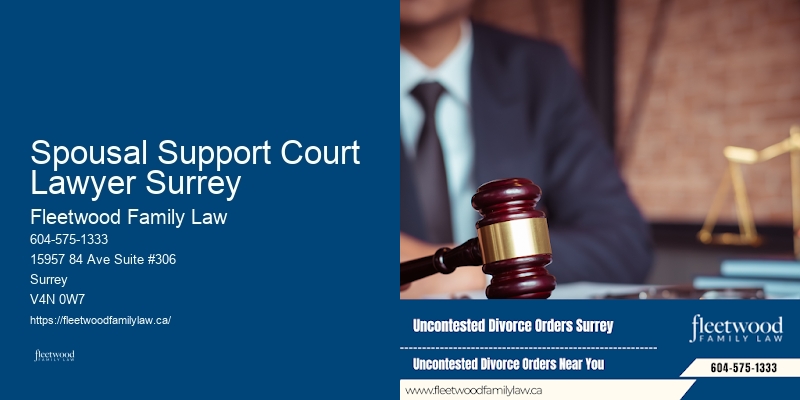 Spousal Support Court Lawyer Surrey