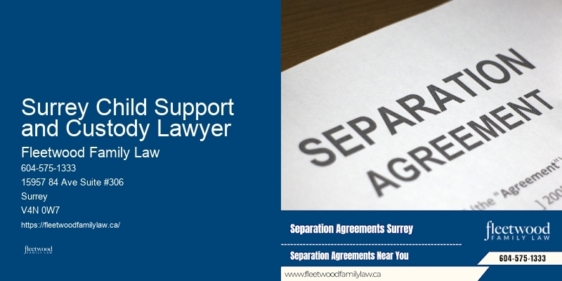 Surrey Child Support and Custody Lawyer