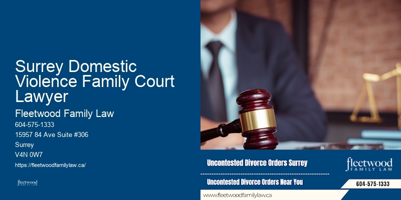 Surrey Domestic Violence Family Court Lawyer