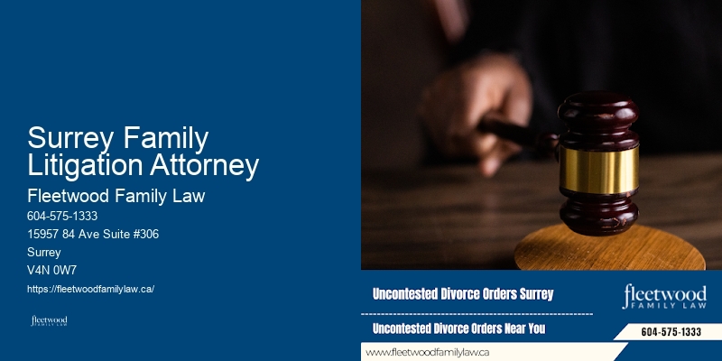 Surrey Family Litigation Attorney