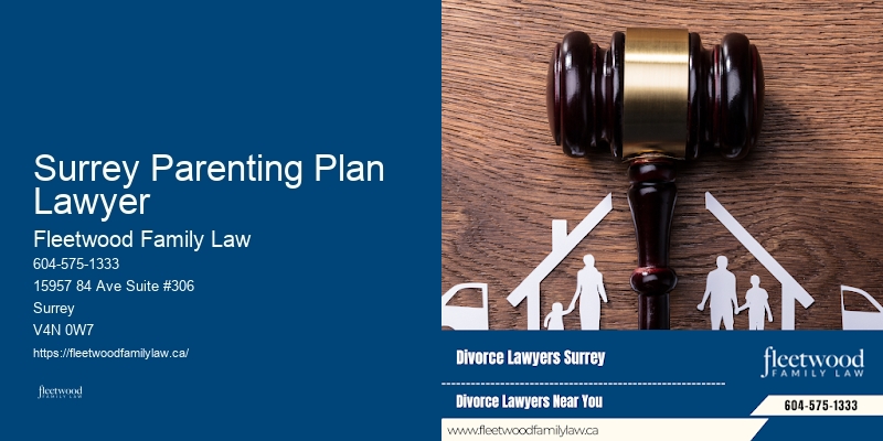 Surrey Parenting Plan Lawyer
