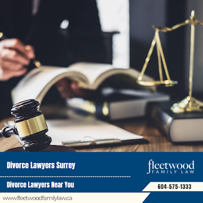 Surrey mediation lawyer child support and custody lawyer