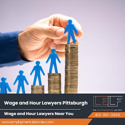 Professional Employment Law Firm PA