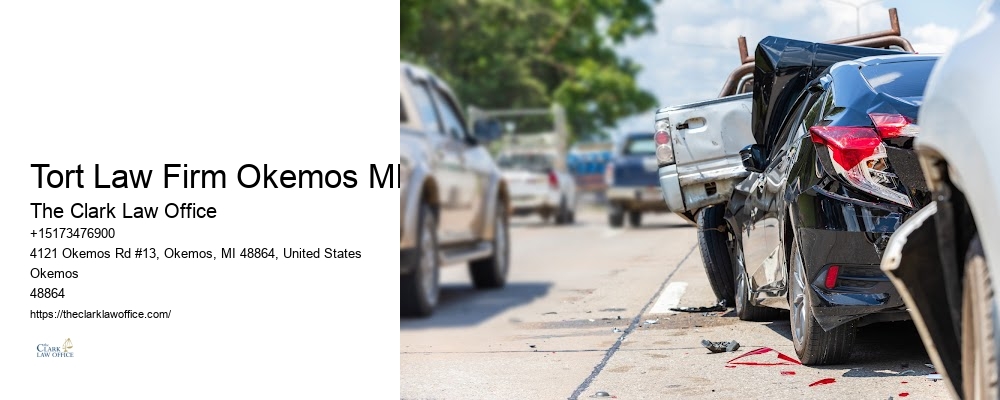 Tort Law Firm Okemos MI