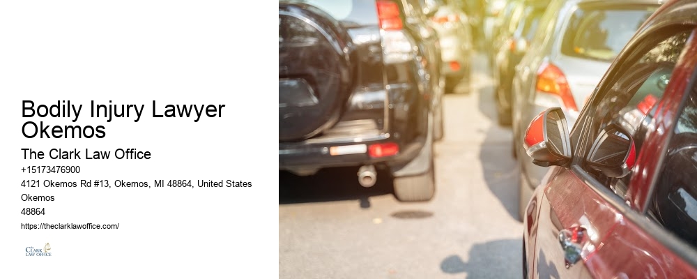 Bodily Injury Lawyer Okemos