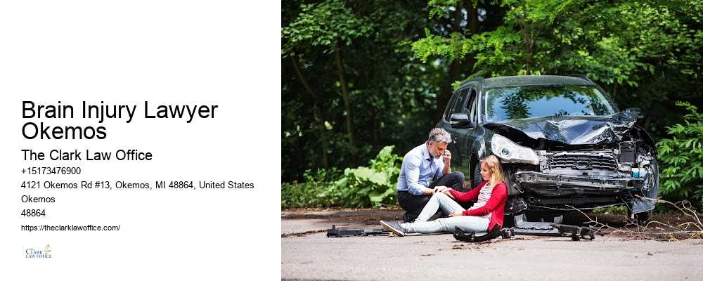 Injury Law Firm Brain Injury Lawyer Okemos
