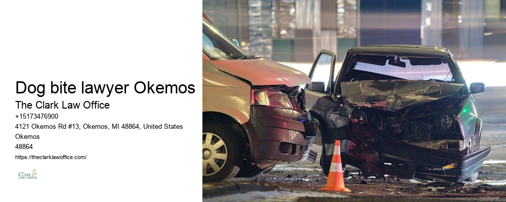 Dedicated personal injury attorneys Dog bite lawyer Okemos, MI