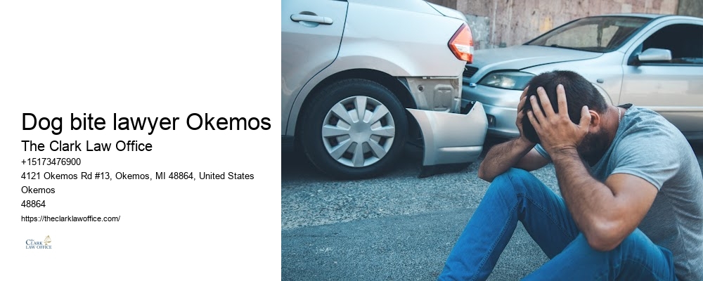 Best Injury Claims Lawyer in Dog bite lawyer Okemos