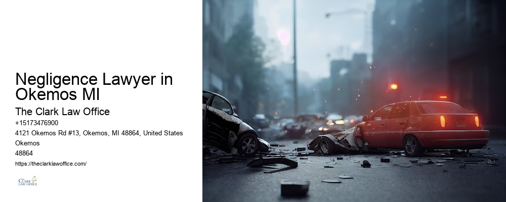 Personal Injury Mediation Negligence Lawyer in Okemos MI