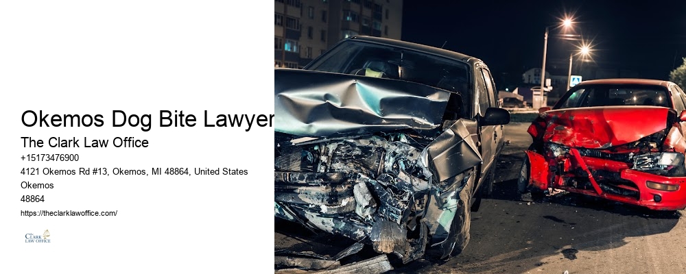 Best Accident Lawyer in Okemos Dog Bite Lawyer Michigan