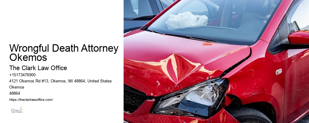 Personal Injury Lawyer for Back Injuries Wrongful Death Attorney Okemos